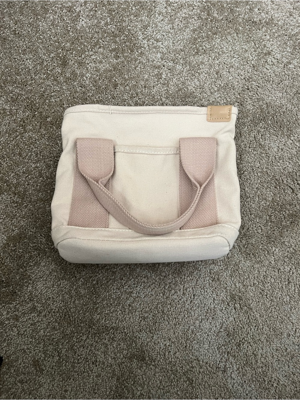 Canvas Mini Tote Bag in Cream